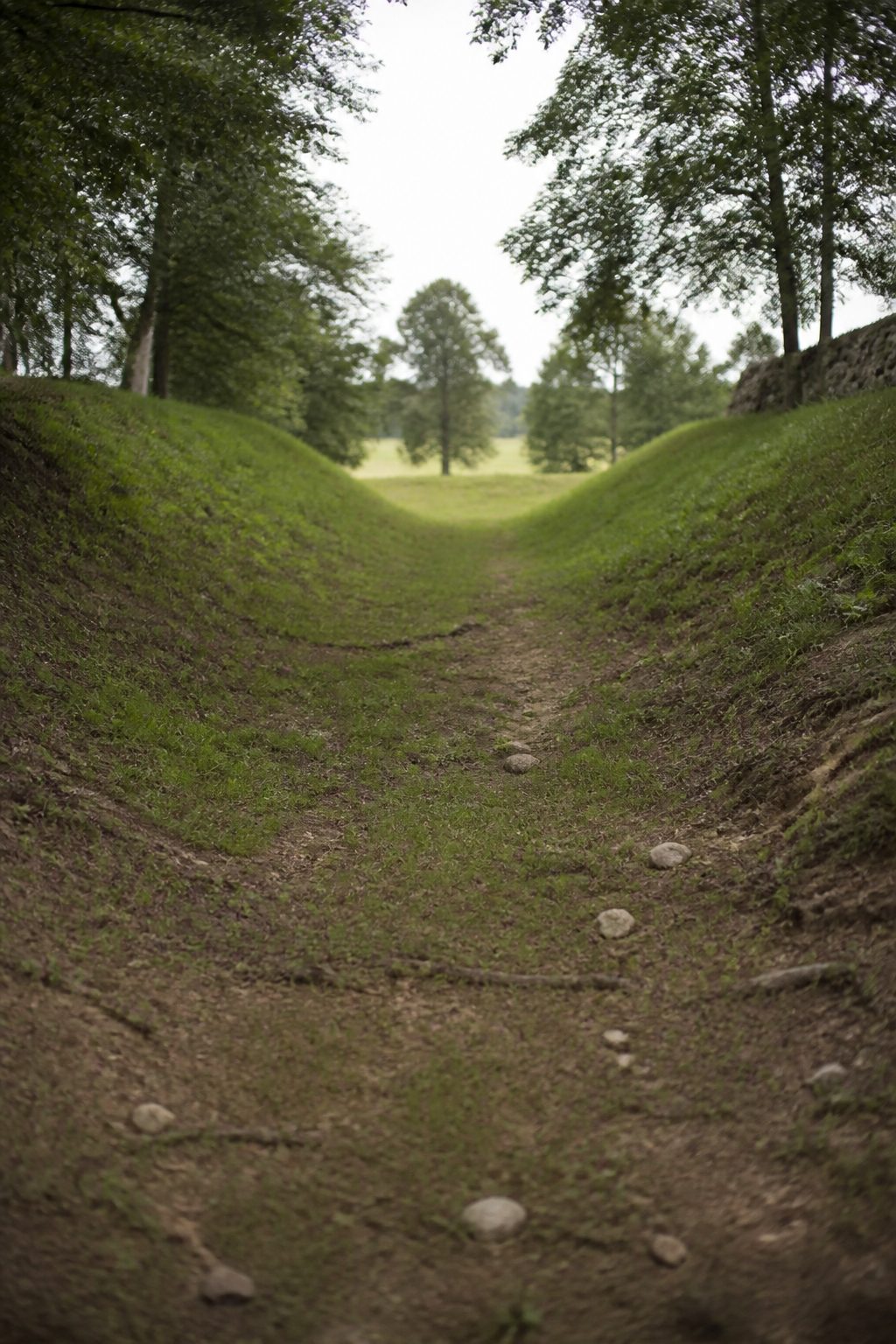 2. Midday: the sunken road : Antietam haiku: seven poems for 17/09/1862