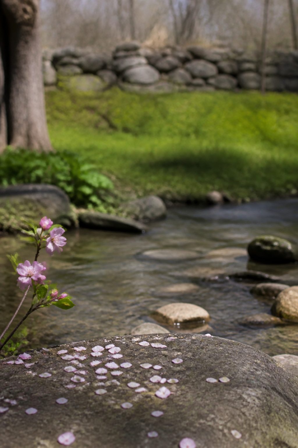 2. The season word : Haiku form explained: the count, the season word and the cut